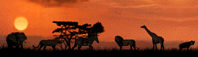 africa_land_small.gif (8167 bytes)
